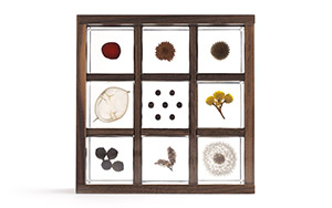 Sola Cube Collection box ソラキューブ　コレクションボックス　木箱 / ウサギノネドコ