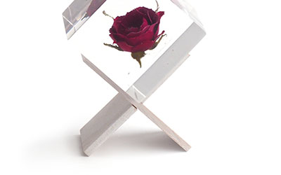 Sola Cube Stand ソラキューブスタンド / usagino nedoko