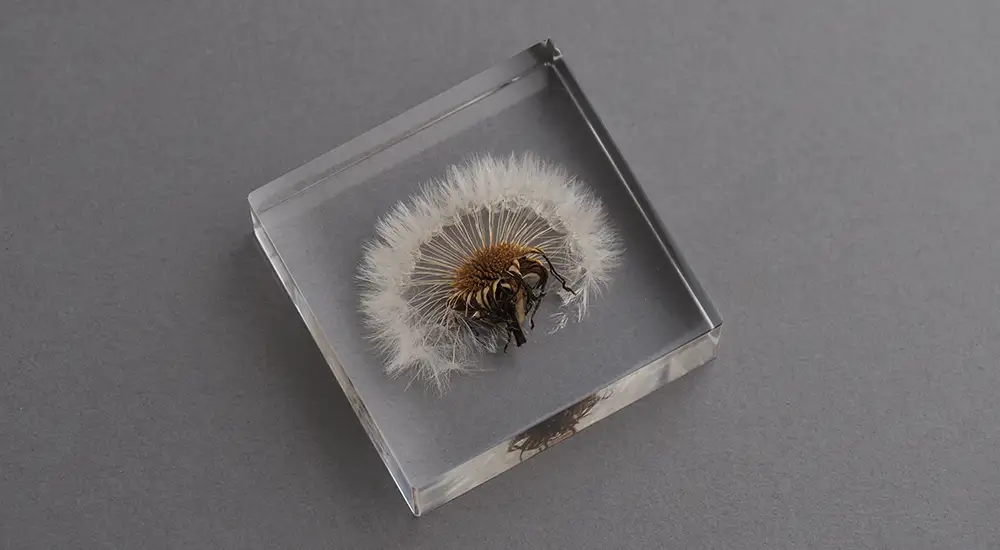 Sola Tileソラタイル / ウサギノネドコ