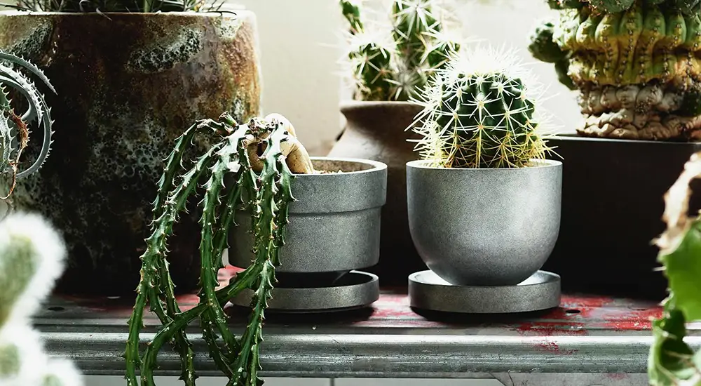 PLANTER GORDIE プランター ゴーディ / FOUNTAIN/FOUNDRY