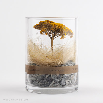製品イメージ