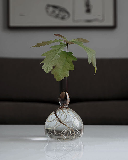 Avocado Vase アボカドベース / Ilex Studio